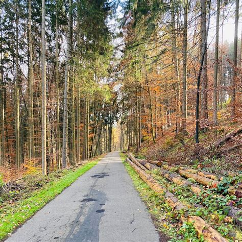 leinfelden echterdingen germany   places  visit tripadvisor