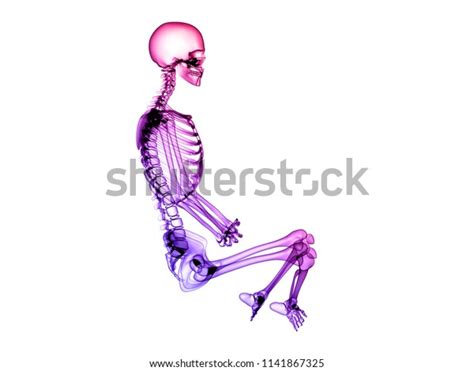 X Ray Human Body 3d Render Stock Illustration 1141867325 Shutterstock