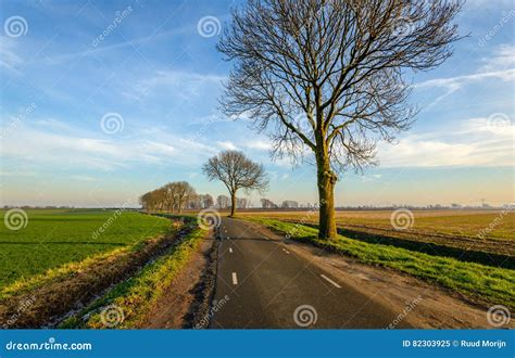 Curved Country Road In The Rural Area Of A Dutch Polder Stock Image