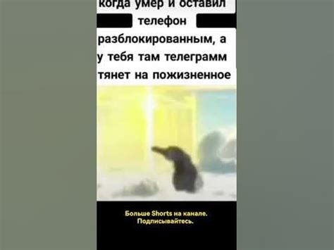 Мемы. Угар 🤣🤣🤣Смешное видео. #shorts #рекомендации #мемы #угар #memes ...
