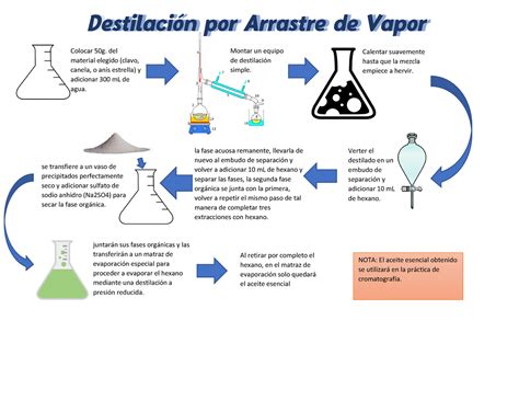 Practica Destilaci N Por Arrastre De Vapor Destilaci N Por Arrastre