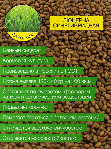 Сидераты Агроальянс АА500.04 - купить по выгодным ценам в интернет ...