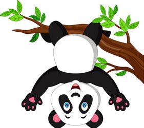 Cute Funny Baby Panda Hanging On A Bamboo Tree Vector Image