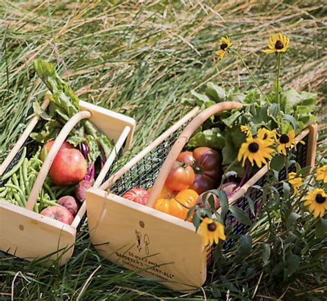 Harvest Basket Guide Find Your Perfect Garden Trug • Gardenary