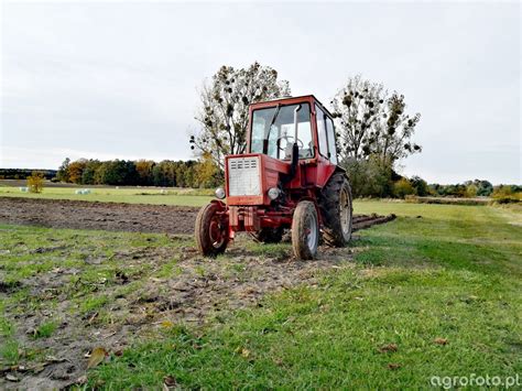 Fotografia Traktor Wladimirec T25 Id 807710 Galeria Rolnicza Agrofoto