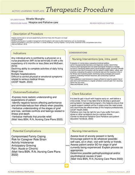 Grief Loss And Palliative Care Ati Template