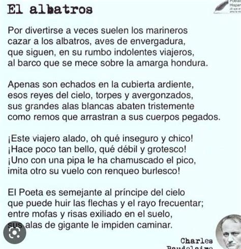 enumeración de estrofas del poema el albatros de Charles baudelaire