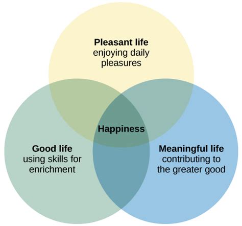 pursuit  happiness introduction  psychology reinke