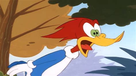 Woody Woodpecker Show Woody Woodpecker 82 By