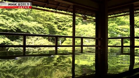 Les érables verts font la joie des visiteurs de l ancien temple