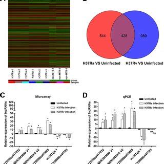 Differential Expression Of Mrnas In Human Macrophages Between The