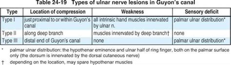 Peripheral Nerves Handbook Of Neurosurgery 7th Ed