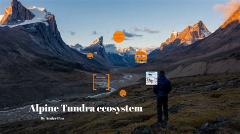 Himalayan Alpine Tundra ecosystem by Ander Pon on Prezi