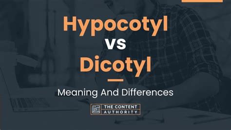 Hypocotyl vs Dicotyl: Meaning And Differences