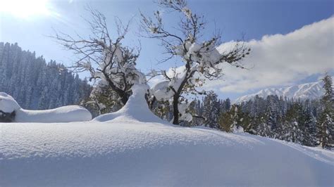 Season's First Major Snowfall Drapes Gulmarg in White Blanket; See Pics - News18