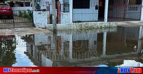 Hoy Tamaulipas Tamaulipas Donde Haya Agua Hay Riesgo De Cocodrilos