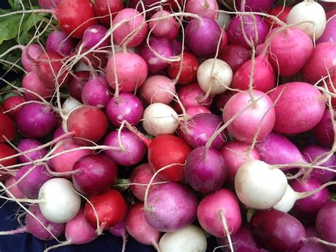 Reasons To Add Radishes To Your Routine Eat Real America