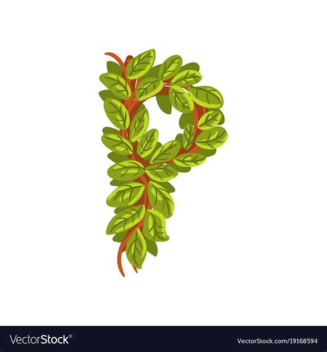 Letter P English Alphabet Made Of Tree Branches Vector Image