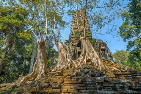 Circuit Lotus Du Cambodge Et Plage A Koh Russey 5 Cambodge Avec