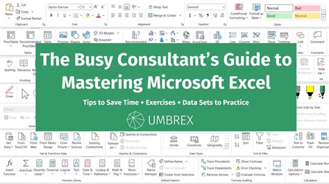 Busy Consultant S Guide To Mastering Microsoft Excel Umbrex