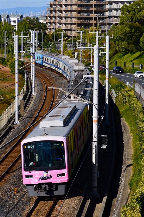 泉北高速鉄道 大阪府都市開発5000系電車 5504 泉ヶ丘駅 鉄道フォト・写真 By Papaさん レイルラボraillab