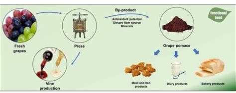 Grape Pomace As A Sustainable Source Of Bioactive 55 Off