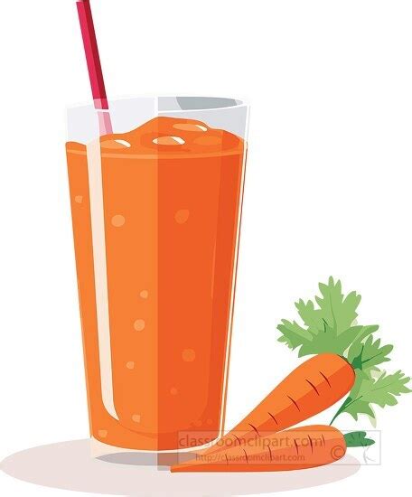 Carrot Juice Packaging Design Template Set Collection Of Carrot