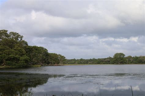 Wilpattu Nationalpark Fotosafaris Und Safari Empfehlungen Natouralist