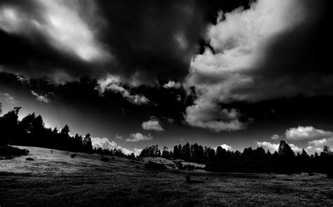 Wallpaper Sunlight Trees Landscape Nature Sky Plants Field