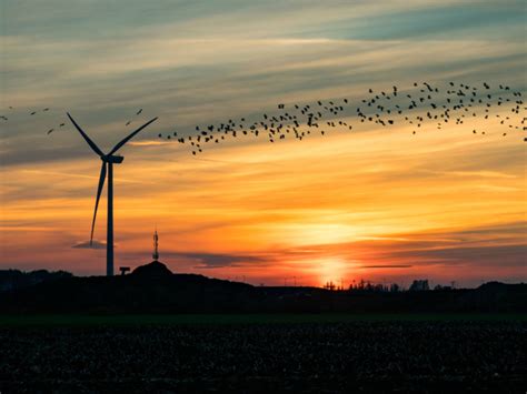 Aptitude Hollywood Sans Rapport Hoe Lang Is Een Wiek Van Een Windmolen