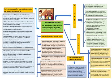 Tarea Instrumentos De Los Niveles De Atenci N De La Salud