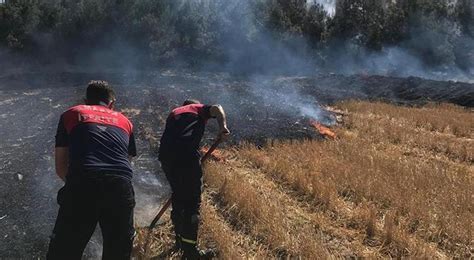 Amasya daki yangının bilançosu belli oldu Güncel Haberler Milliyet