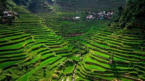 Aerial View Of Batad Rice Terraces Ifugao Province Luzon Island