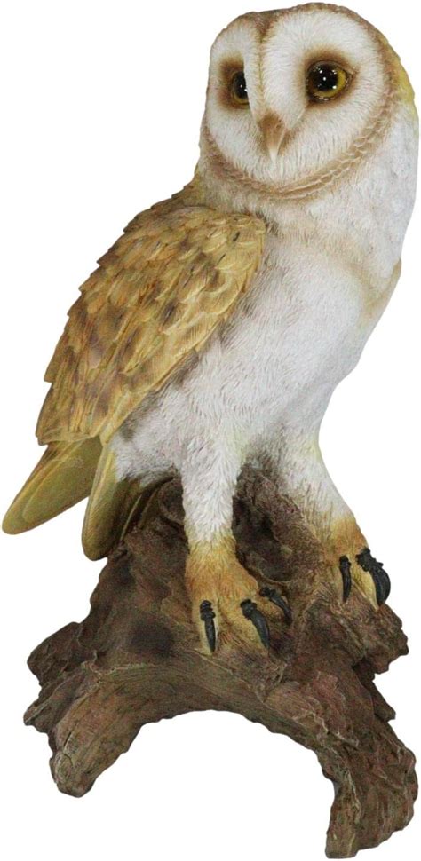 Ebros Gift Realistic Nature Wildlife Common Barn Owl Perching On Tree