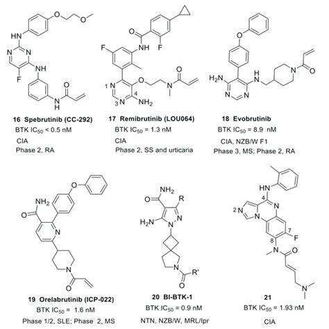 The Representative Structures Of Covalent Irreversible Btk Inhibitors