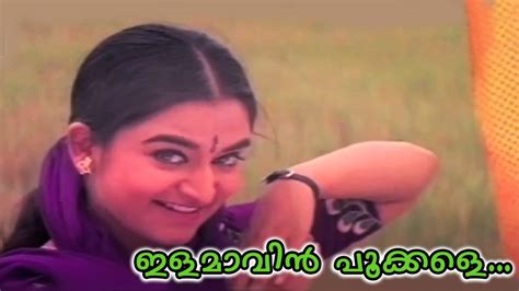 ഇളമാവിൻ പൂക്കളെ Ikkareyanente Manasam Malayalam Movie Non Stop