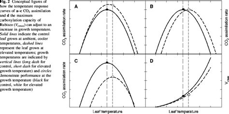 Conceptual Figures Of How The Temperature Response Curves Of Ac Co 2