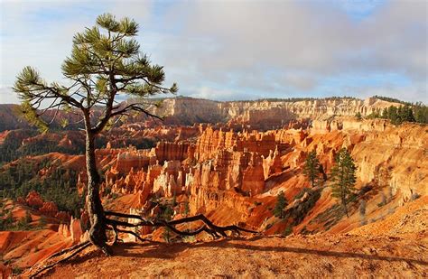 8 Best Campgrounds near Bryce Canyon National Park | PlanetWare