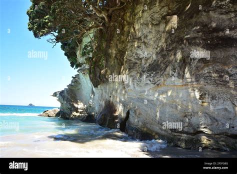 Tree Growing Rock Cliff Hi Res Stock Photography And Images Alamy