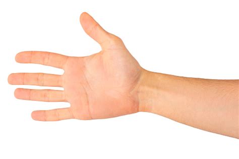 Hand Palm Isolated On White Background Stock Photo Download Image Now