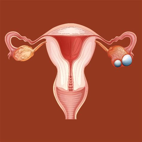 Ovarian Reserve Tests Dr Chaitra Fertility Expert