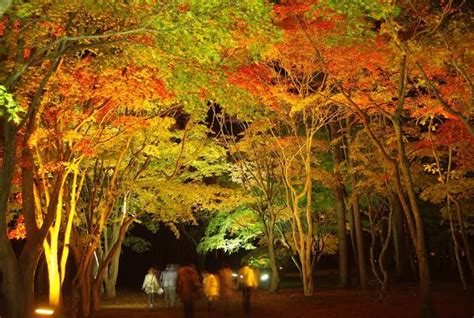 The Best Spots To See Autumn Leaves In Hokkaido Gaijinpot Travel