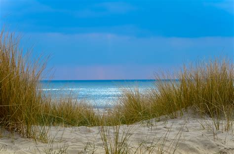 Gratis Afbeeldingen Strand Landschap Zee Kust Boom Water Natuur