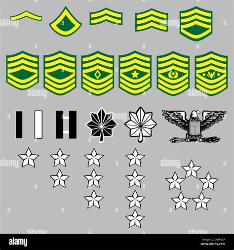 US Army Rank Insignia Stock Vector Image & Art - Alamy