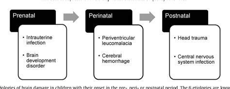 Figure 1 From Cerebral Visual Impairment Which Perceptive Visual