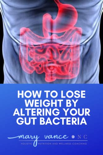 How Your Gut Bacteria Influence Your Weight Mary Vance Nc