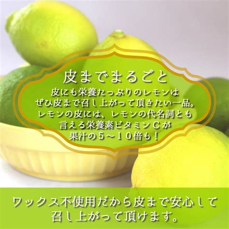 国産レモン 【秀品 L2lサイズ 2kg】 送料無料 防腐剤 防カビ剤 不使用 国産 レモン れもん 檸檬 グリーンレモン 和歌山県産 紀の