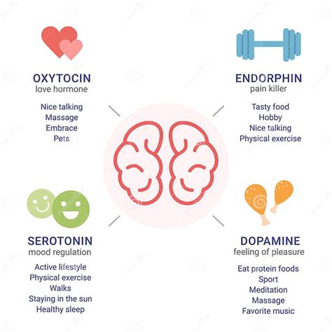scheme  happiness hormones oxytocin serotonin dopamine endorphin