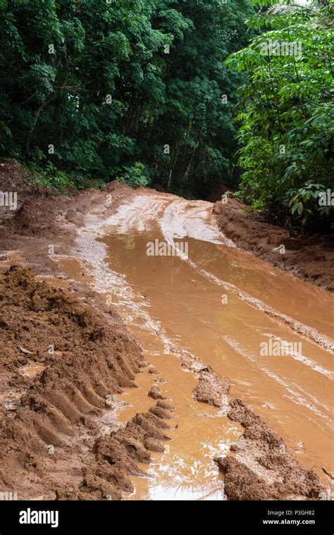 Mud Road After Rain In Jungle To Bagyliem Cameroon Stock Photo Alamy