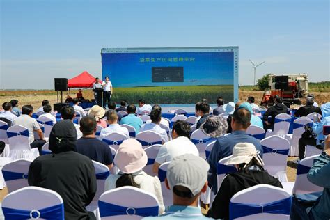 油菜盐碱地高产高油技术模式现场观摩会在我院东台示范基地召开 苏州市农业科学院官方网站